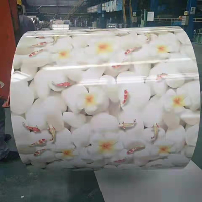 Customized Color Coated Steel Coil Yield Strength≥265Mpa Tensile Strength 300-450Mpa